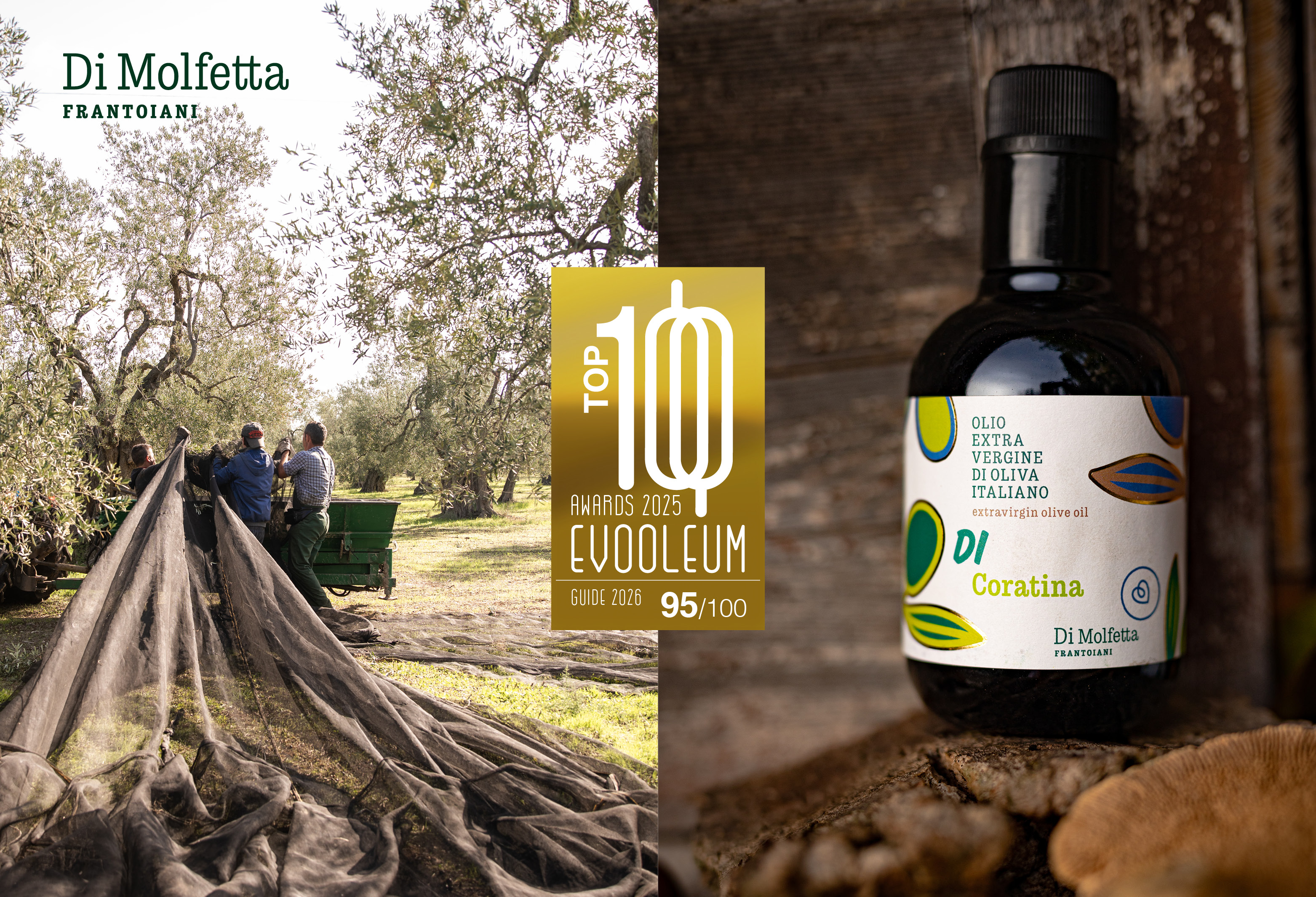Siamo nella EVOOLEUM TOP100: l’olio che racconta la nostra terra, premiato tra i migliori al mondo! 